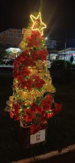 Casa no Bosque Vila Natal - 5