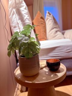 Spacious and modern apartment in the heart of the city - 1