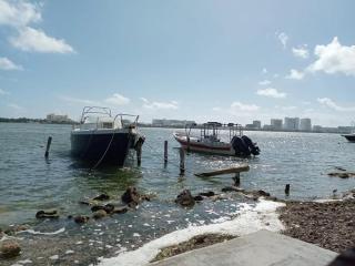 Villa hermosa Palmeras - 5