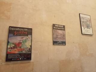 les Micocouliers - 8