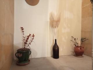 les Micocouliers - 6