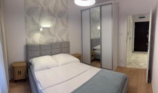 Silver Shine Apartment - 0