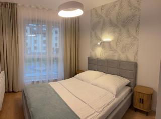 Silver Shine Apartment - 7