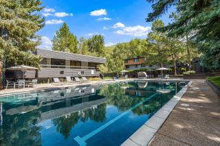 PET FRIENDLY 2BR Aspen Retreat w Pool HotTub Gym - 6