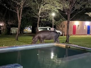 Camp Hogo Kavango - 8