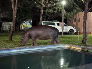 Camp Hogo Kavango - 9