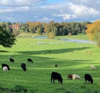 Lookout cabin farm stay firepit Hertford - 1