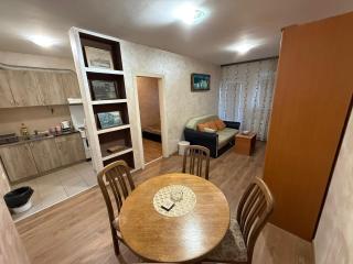 Perisic Lux Apartman Obrenovac, sa parkingom - 4