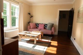 Near Downtown Midtown and Corktown - Detroit - 8