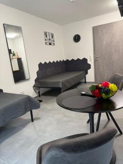 Ruhiges Apartment mit Terrasse an der Donau - Schwaben Living - 8