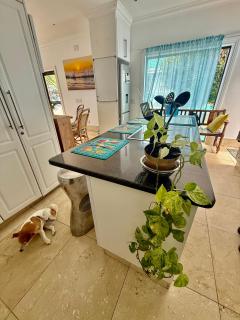 Skye Beachfront Villa - 3