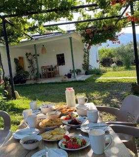 Guesthouse Vitoria - Mrizi i Zanave - 1