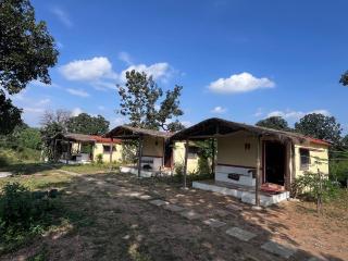 Home in the Jungle - 0