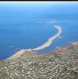 La fringante - Pleubian - 9