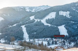 Maibrunn apartment Dali, ski-in&out - 2