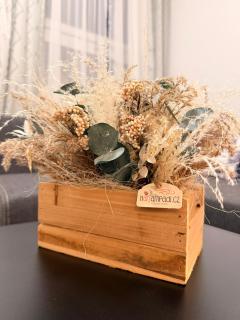 Apartmán Nekonečno Jeseník - 3