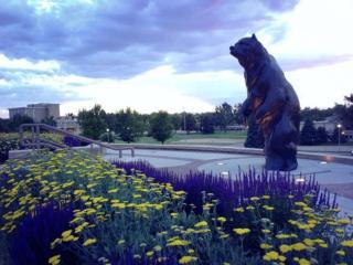 Cute 1 Bdrm Bungalow - New Flooring! - 5