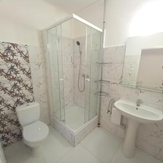 Penzion Diana Máchovo jezero - 9