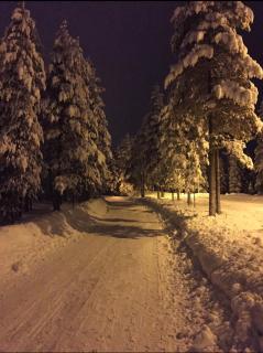 Polar Glow House - near Santa Claus Village - 3