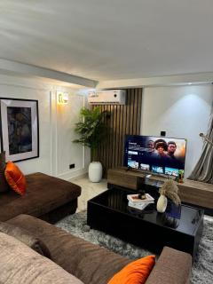 Asokoro Luxury Apartments - 8