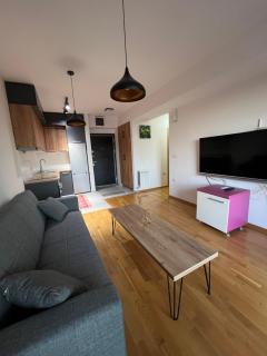 Olaf's Apartment - 9