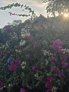 Amazonia Memor House - 0