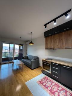 Olaf's Apartment - 5