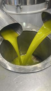 La Mimosa Case Vacanze - 3