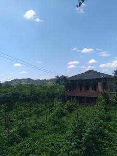 Motena Guesthouse - 0