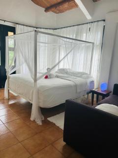 Luxury Penthouse suite in Altos del Maria - 7