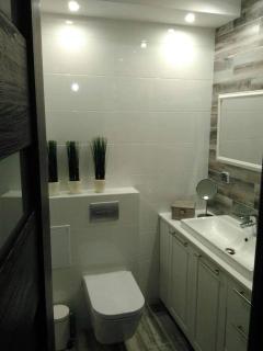 Bieszczady Apartament Gniazdo Baligród - 6