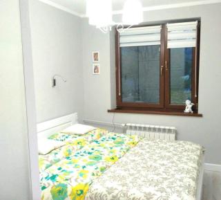Bieszczady Apartament Gniazdo Baligród - 3