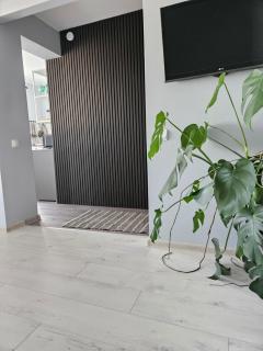 Pigeon apartment - 0