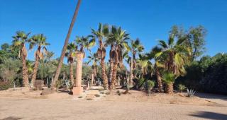 Les Jardins De La Palmeraie Premium Luxury - 6