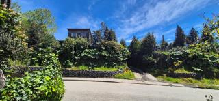 Cabaña Dresden - Hornopirén - 9