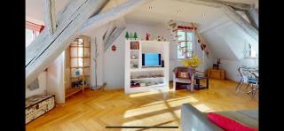 le nid des tanneurs Colmar centre - 3