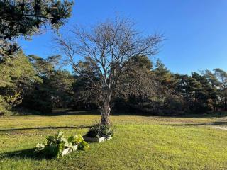 4 star holiday home in VISBY - 3