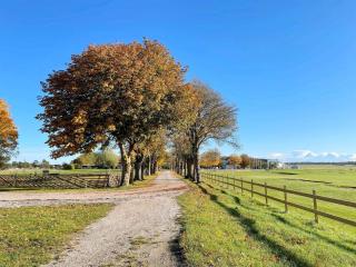 4 star holiday home in VISBY - 1