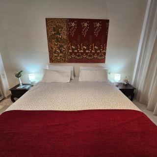 Santa Plaza Centro - 8