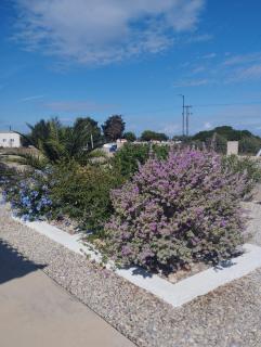 The Garden House - 9