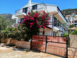 Olive Kaş Apart 2 - 3