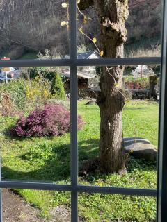 Les Volets Verts gîte - - 5