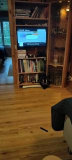 Villa Lehtoranta A touch of luxury on the lakeside - 8