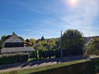 Hildegarde's Friend - Brienne-le-Château - 2