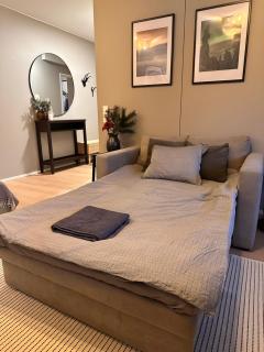 Apartment Arctic winter - 3