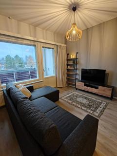 Pearl of Pohjanpuistikko, Rovaniemi - 9