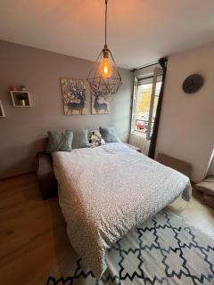 Confort appartement proche Gare et Centre Strasbourg - 7