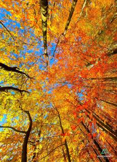 APARTAMENTY SZYNDZIELNIA - 2 Sypialnie & GARAŻ PODZIEMNY & BALKON IDEALNE MEJSCE W BASKIDACH dla RODZINY - 4