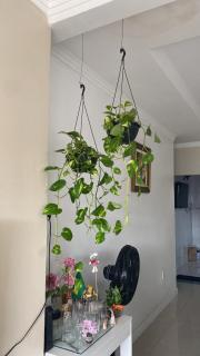 Suite for COP30 - 3 km from COP30 - 1