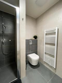 Apartmán FRIŠTENSKÉHO Olomouc - 8